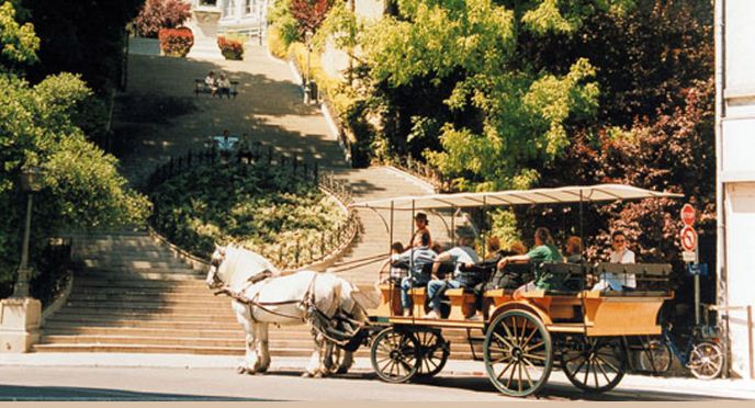 Location de calèche blanche avec chevaux blanc mariage et fete publique